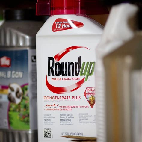 latest update on roundup lawsuit